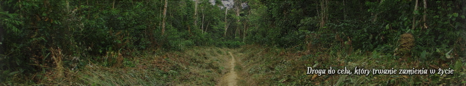 top_7.jpg